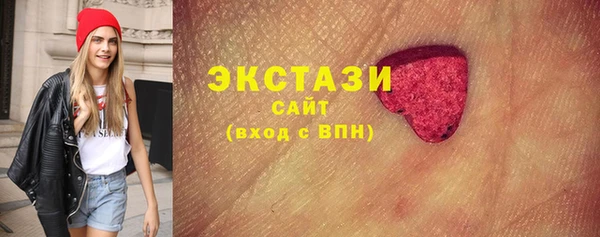 прущие грибы Гусиноозёрск