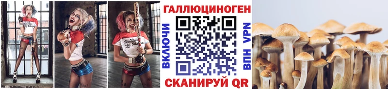 Псилоцибиновые грибы Cubensis Купить закладки Камызяк
